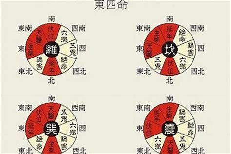 东四命离命人|易经算命解析离命东四命是什么意思？